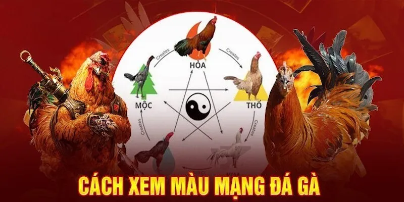Hướng dẫn chọn màu mạng phù hợp cho từng chiến Hướng dẫn chọn màu mạng phù hợp cho từng chiến