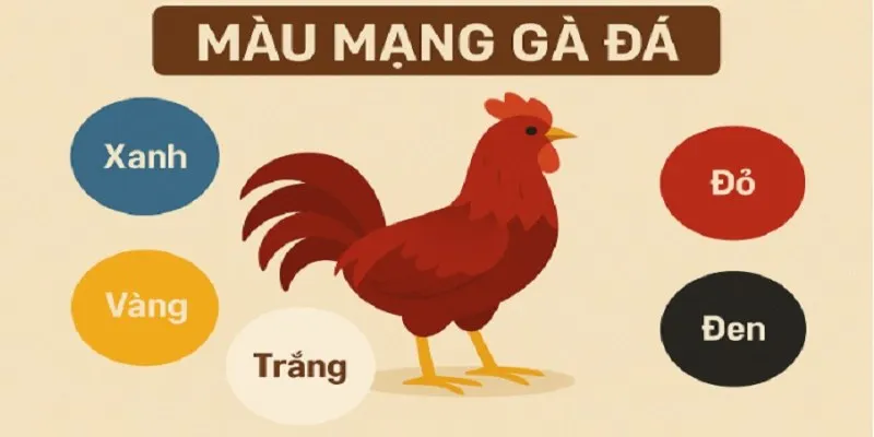 Khái quát đôi nét về màu mạng đá gà Khái quát đôi nét về màu mạng đá gà
